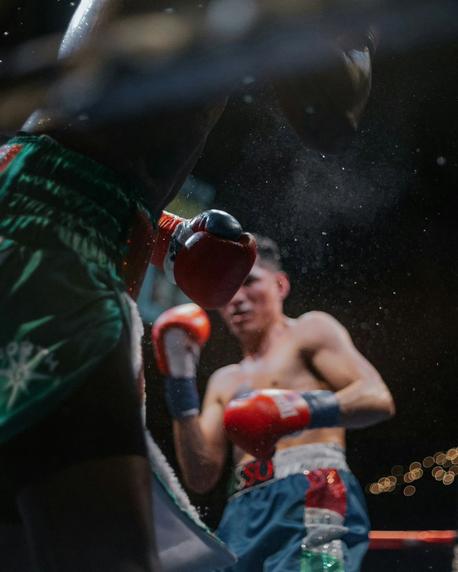 Boxing training at Webbot